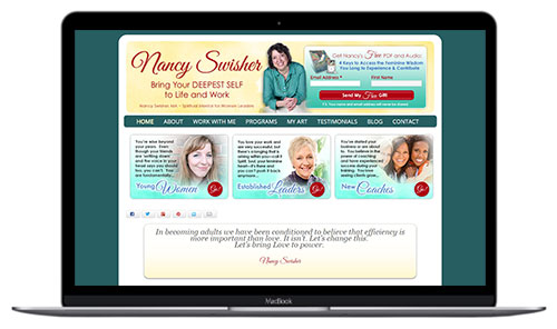 Nancy Swisher Website Before Redesign